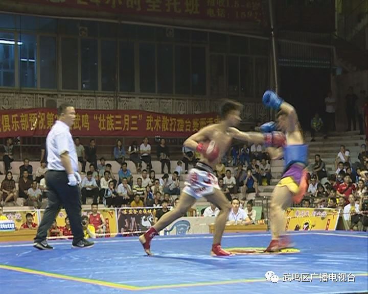中国武术散打冠军,从擂台到生活的真实力量 中国武术散打冠军,从擂台到生活的真实力量